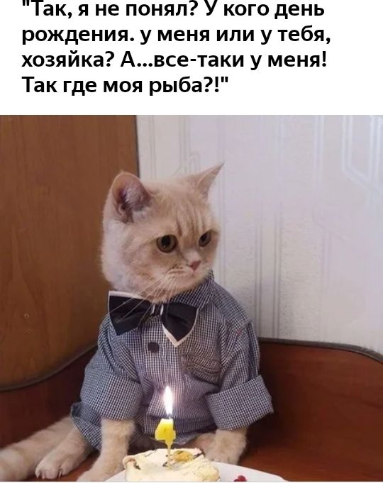 Так я не понял У кого день рождения у меня или у тебя хозяйка Авсе таки у меня Так где моя рыба