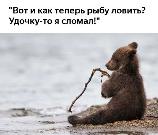 Вот и как теперь рыбу ловить Удочку то я сломал