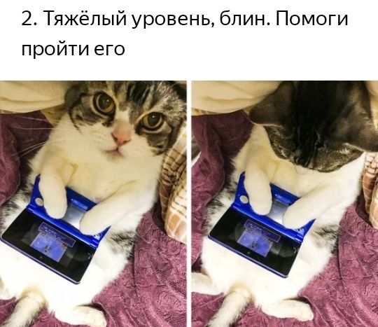 2 Тяжёлый уровень блин Помоги пройти его