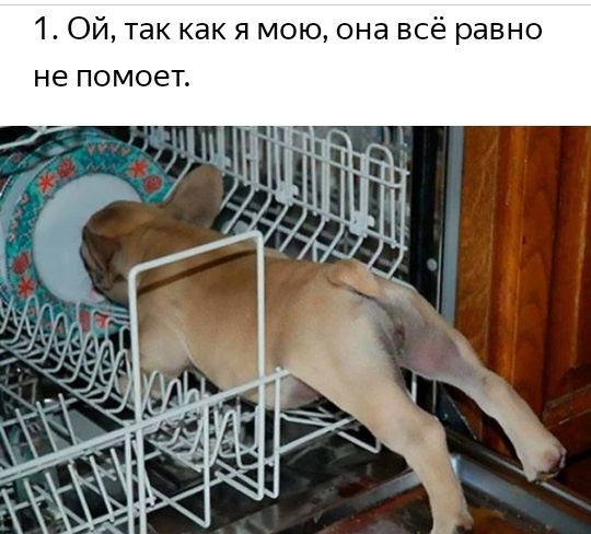 1 Ой так как я мою она всё равно не помоет