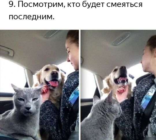 9 Посмотрим кто будет смеяться последним