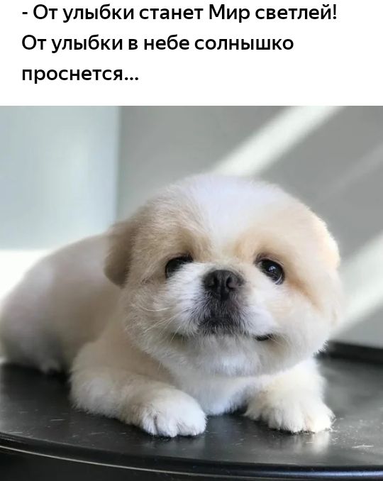 От улыбки станет Мир светлей От улыбки в небе солнышко проснется