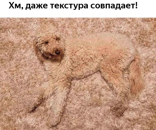 Хм даже текстура совпадает