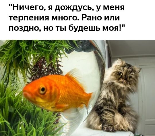 Ничего я дождусь у меня терпения много Рано или поздно но ты будешь моя