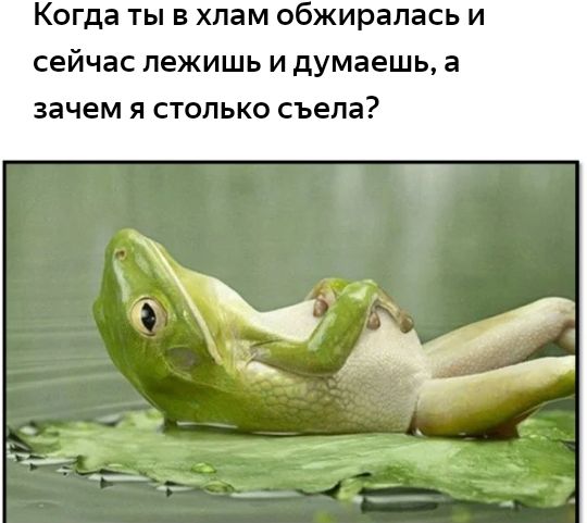 Когда ТЫ В хпам обжиралась И сейчас пежишь И думаешь зачем Я СТОЛЬКО съела