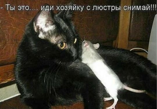 имай и хозічйку с люстры с 1