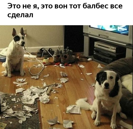 Это не я это вон тот балбес все сделал