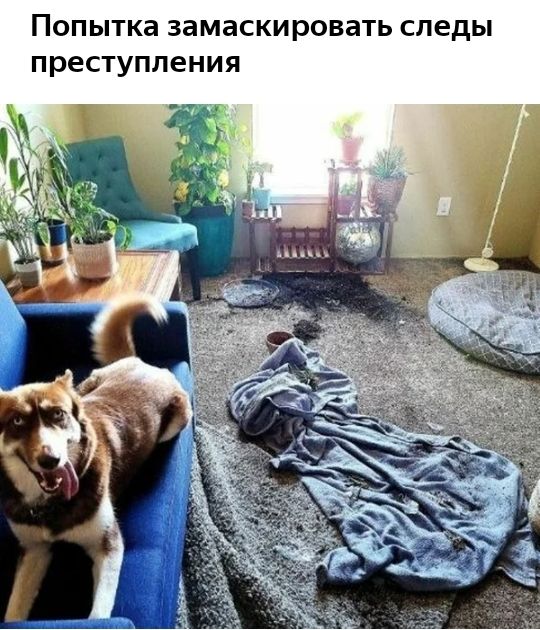 Попытка замаскировать следы преступления