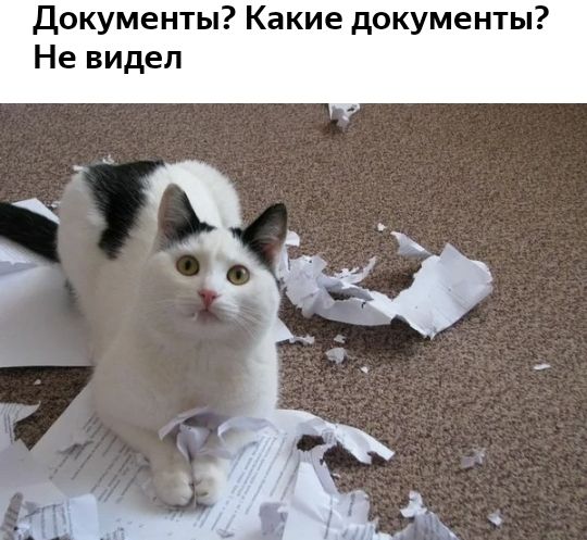 Документы Какие документы Не видел