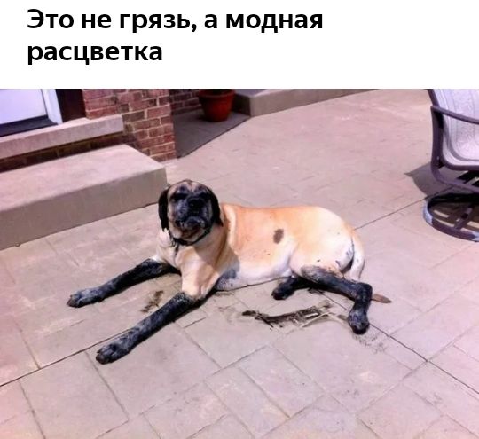 Это не грязь а модная расцветка
