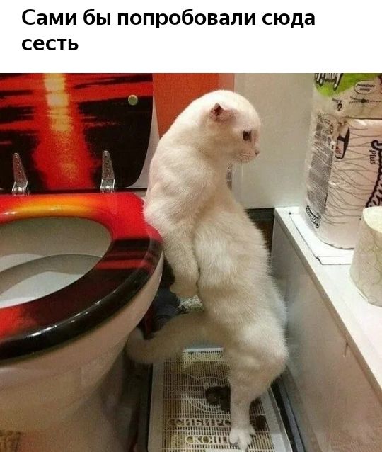 Сами бы попробовали сюда сесть