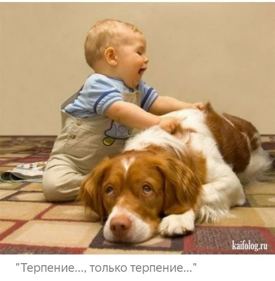 Терпение только терпение