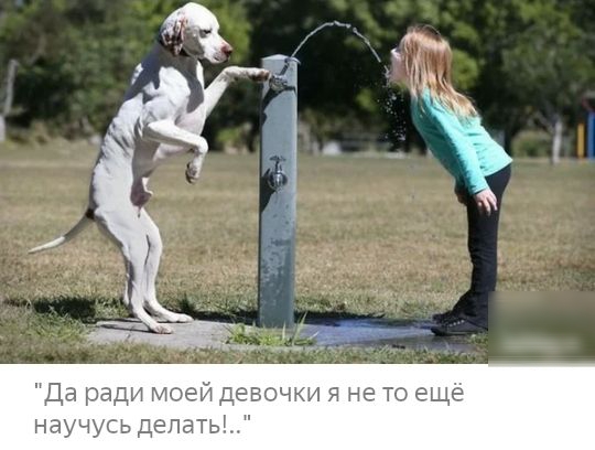 Да ради моей девочки я не то ещ научусь депать