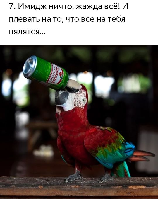 7 Имидж ничто жажда всё И плевать на то что все на тебя пялятся