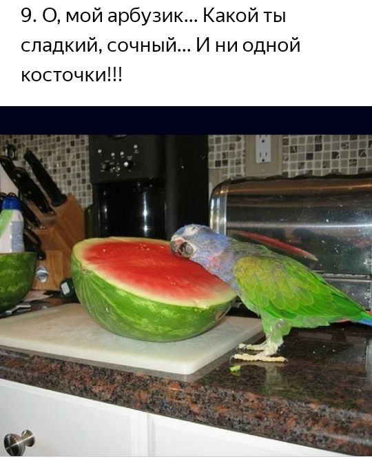 9 0 мой арбузик Какой ты сладкий сочный И ни одной косточки