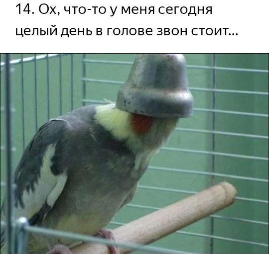 14 Ох что то у меня сегодня целый день в голове звон стоит