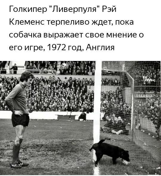 Гопкипер Ливерпуля Рэй Клеменс терпеливо ждет пока собачка выражает свое мнение о его игре 1972 год Англия