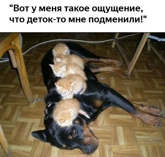 Вот у меня такое ощущение что деток то мне подменили