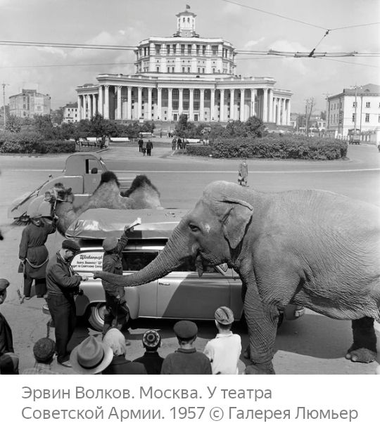 Эрвин Волков Москва Утеатра Советской Армии 1957 сЪ Галерея Люмьер