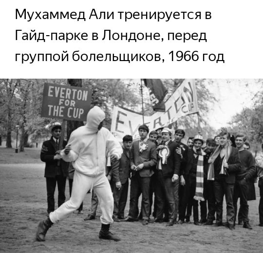 Мухаммед Али тренируется в Гайд парке в Лондоне перед группой болельщиков 1966 год