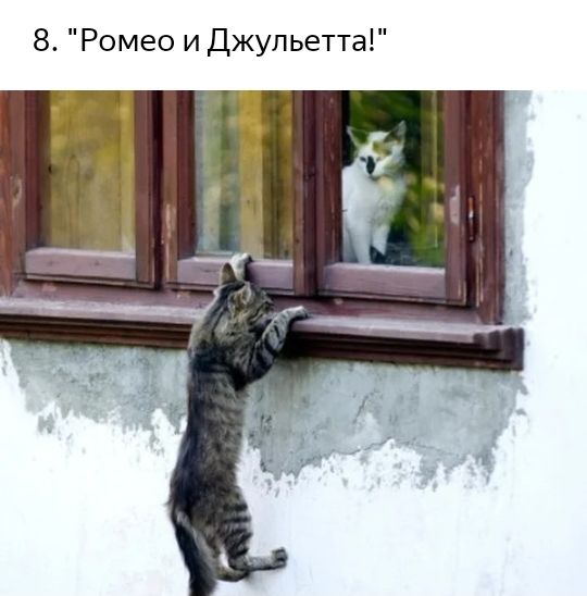 8 Ромео и Джульетта