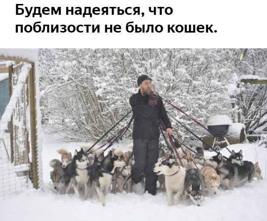 Будем надеяться что поблизости не было кошек