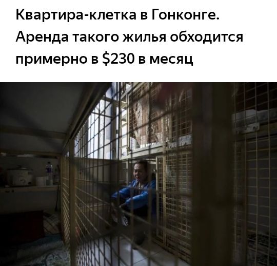 Квартира клетка в Гонконге Аренда такого жилья обходится примерно в 230 в месяц