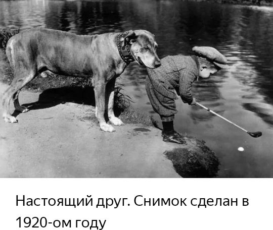 Настоящий друг Снимок сделан в 192О ом году