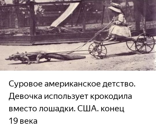 Суровое американское детство Девочка использует крокодила вместо лошадки США конец 19 века