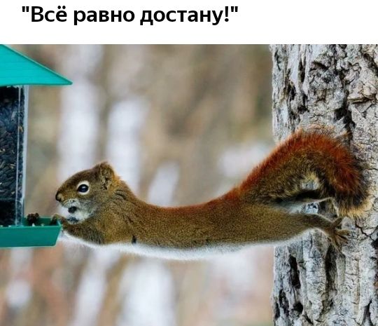 Всё равно достану