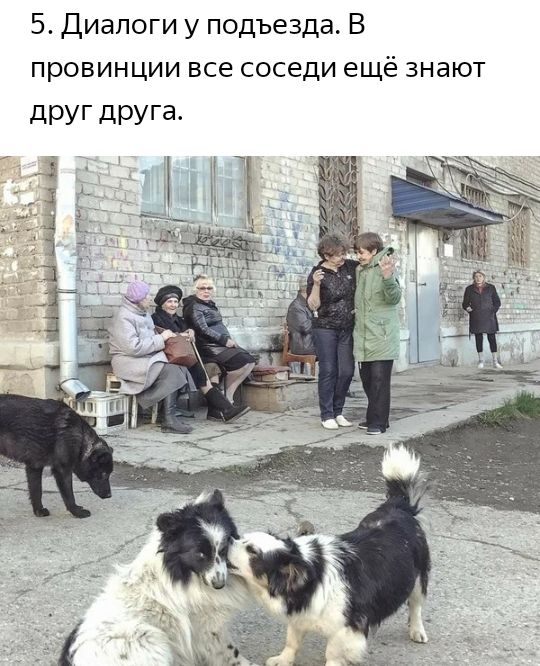 5 Диалоги у подъезда В провинции все соседи ещё знают друг друга