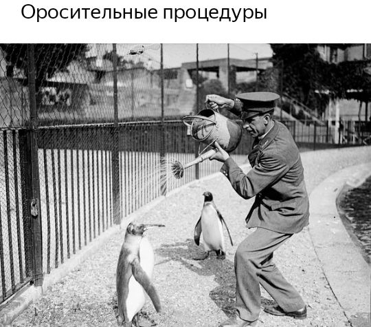 Ороситепьные процедуры