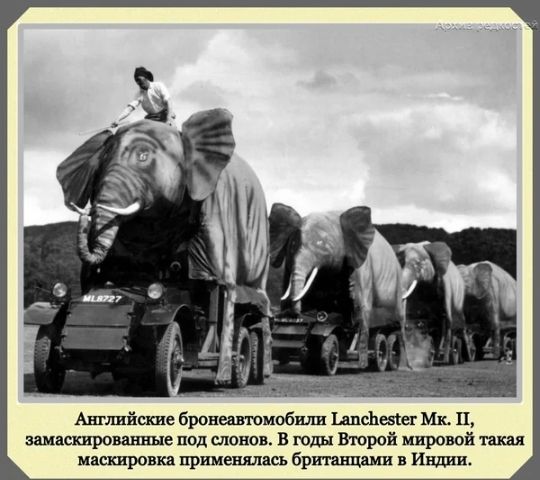 Анпшйшше броншюмобшш ЩсЪевіег п замаскированные под слонов В годы Второй мировой такая натравил применялась бриташиш в Ишши