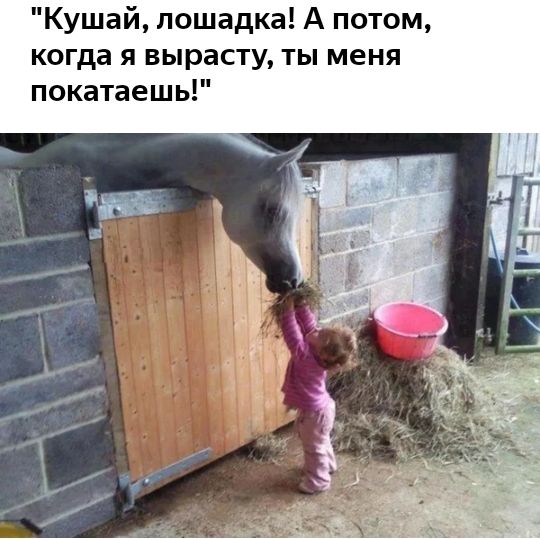 Кушай лошадка А потом когда я вырасту ты меня покатаешь