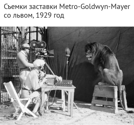 Съемки заставки ме!госоафууупмауег со львом, 1929 год