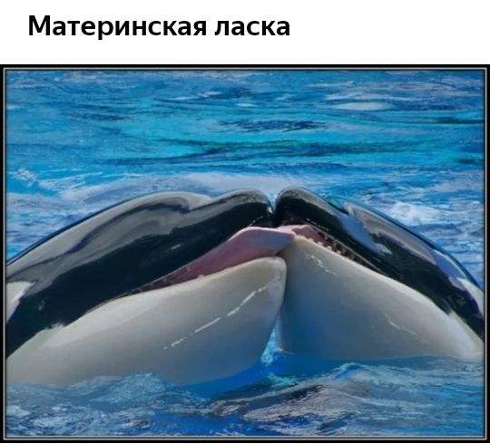 Материнская ласка