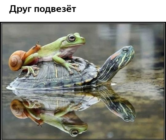 Друг подвезёт