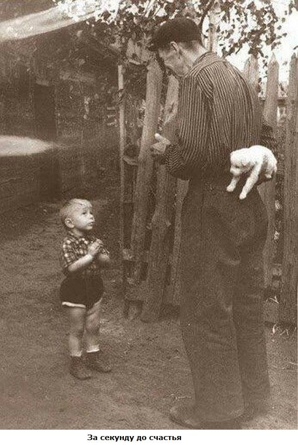 ы т с а ч с о ц ш е с а 3