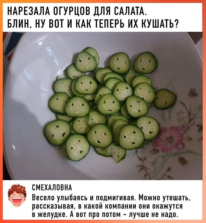 НАРЕЗАЛА ОГУРЦОВ ДЛЯ САЛАТА БЛИН_НУ ВОТ КАК ТЕПЕРЬ ИХ КУШАТЬ СМЕХАЛОВНА Весело улыбаясь и подмигивая Можно утешать рассказывая в какой компании они окажутся В ЖЕЛУДКЕ А ВОТ ПРО ПОТОМ ЛУЧШЕ не надо