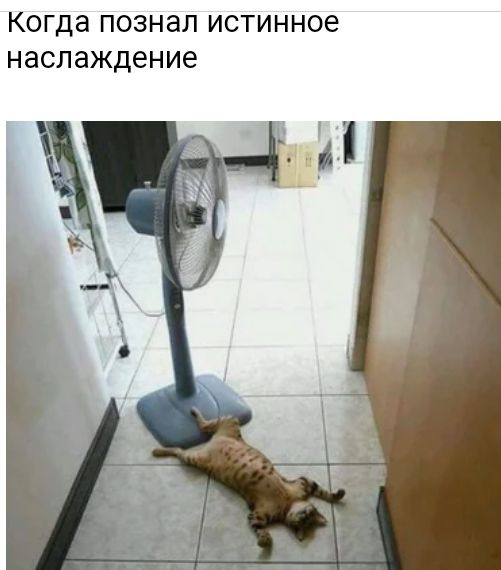 Когда ПОЗНЭЛ ИСТИННОВ НЭСЛЭЖДеНИб
