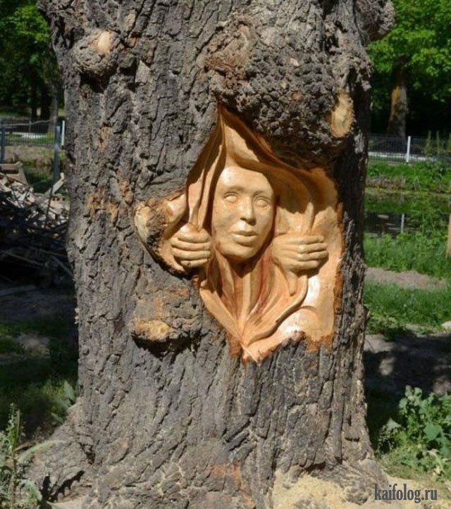 аііоЕошн