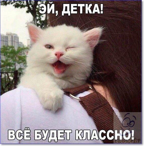 21 Асбйо