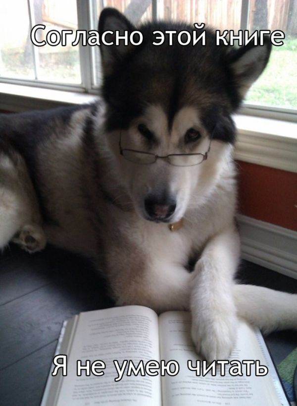 Ласно этой книге