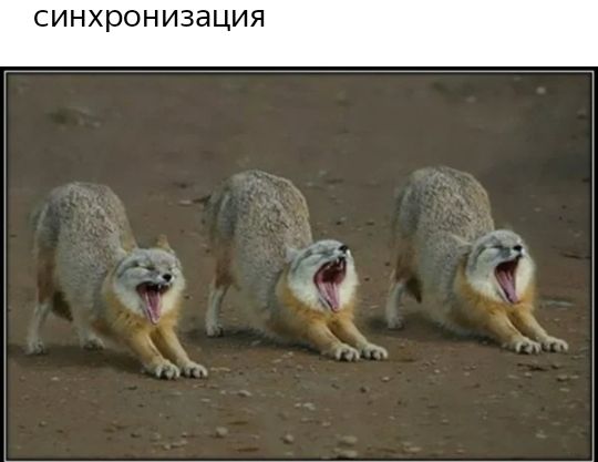 СИНХрОНИЗЭЦИЯ т а в ё
