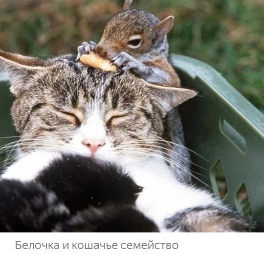 Н ЖОШЧЧЬЭ СЁМЁИСТБО