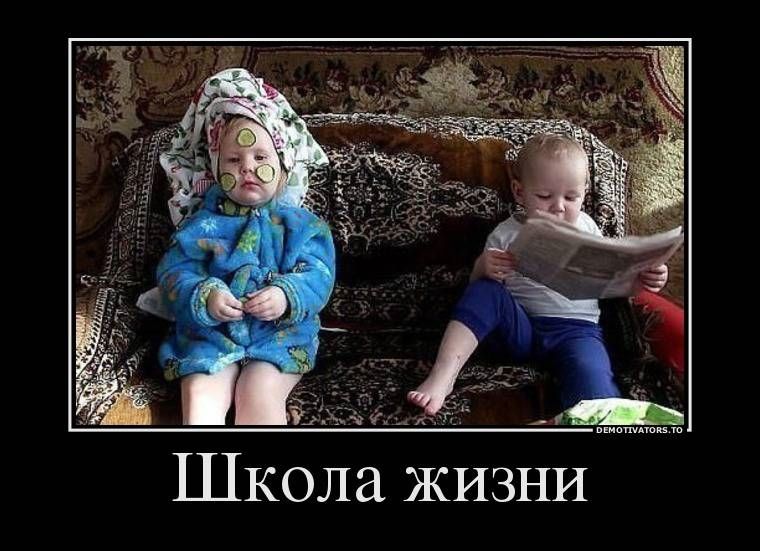 даёт 1 Школа ЖИЗНИ