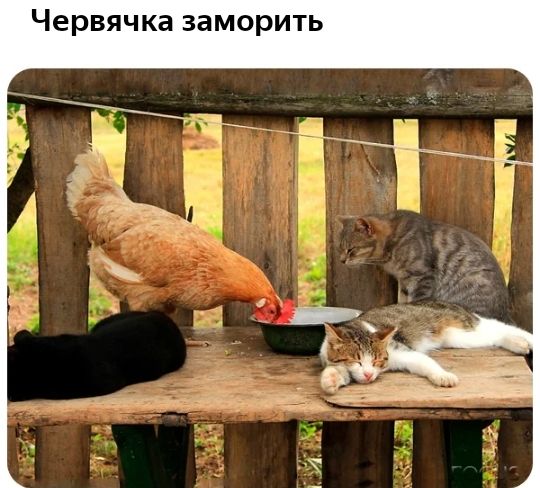 Червячка заморить