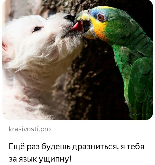 Ещё раз будешь дразниться я тебя за язык ущипну