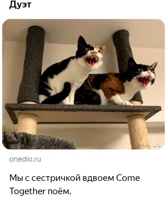 опесііош Мыс сестричкой вдвоем Соте То9егпег поём
