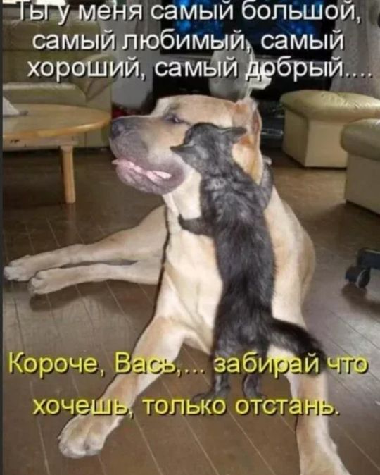 ПШЭмеНясамЫйбопылой самьп любимыйсамый хороПЁ й самьій г 51 чЁЗЁ Короче хоч топькботст